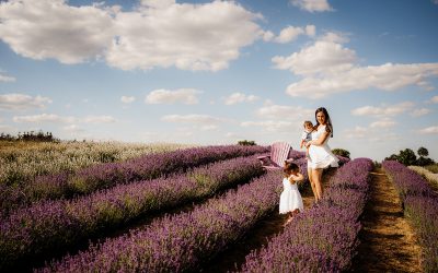 Bojana’s Family Photography at Kelso Lavender
