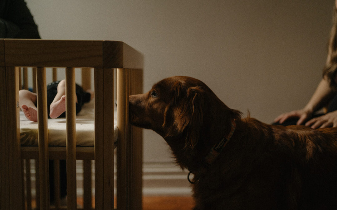 Rory + Lisa Newborn